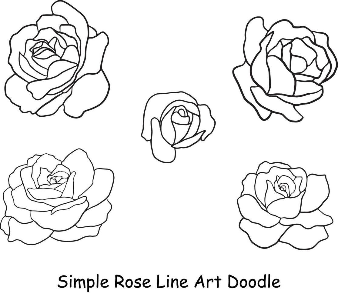 doodle rose isolé dessiné à la main, ensemble d'éléments de fleur. vecteur