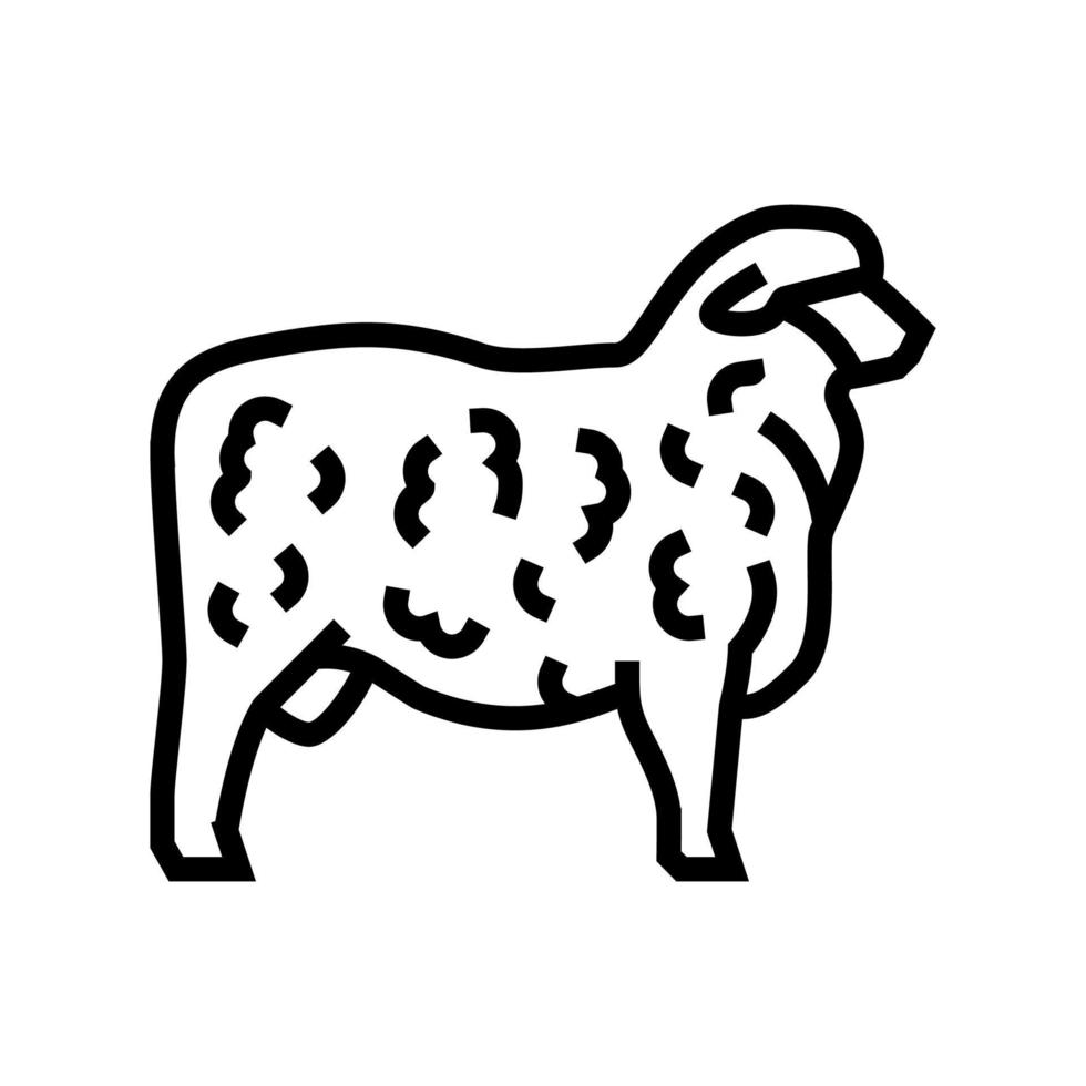 illustration vectorielle de l'icône de la ligne des moutons corriedale vecteur