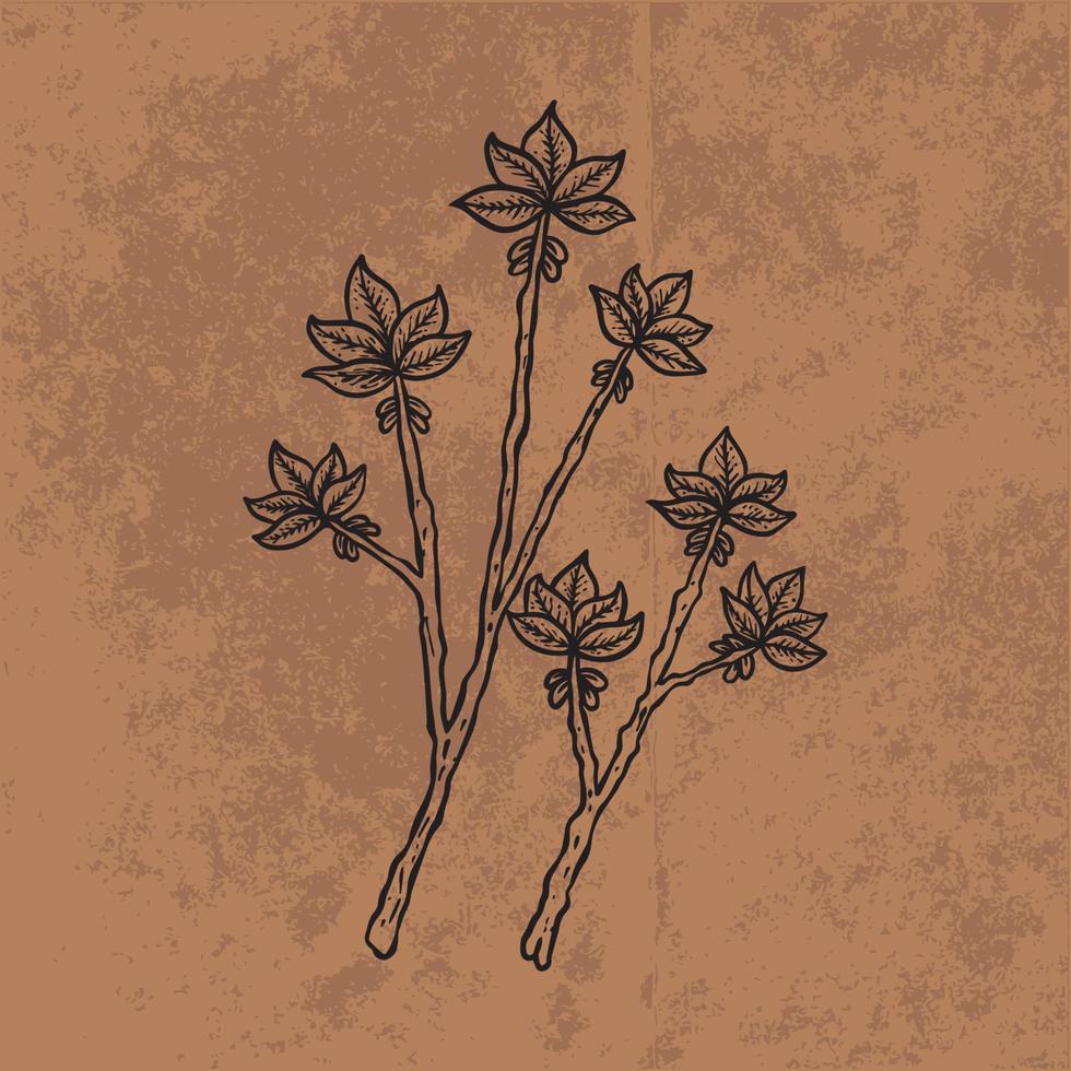 feuille botanique doodle dessin au trait de fleurs sauvages. illustration vectorielle dessinés à la main. contour floral vintage. adapté au papier peint, à l'affiche, à l'autocollant, au contenu des médias sociaux vecteur