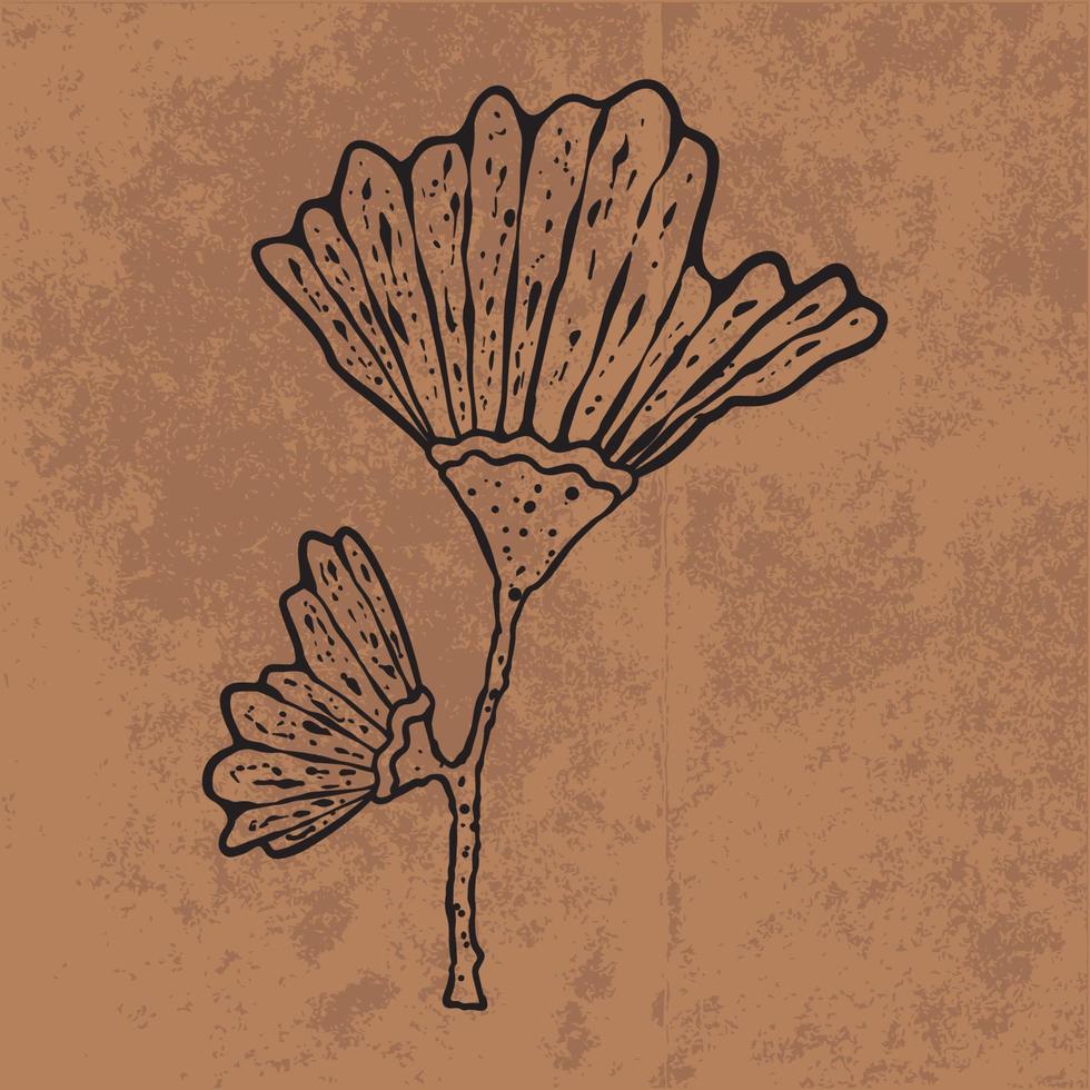 feuille botanique doodle dessin au trait de fleurs sauvages. illustration vectorielle dessinés à la main. contour floral vintage. adapté au papier peint, à l'affiche, à l'autocollant, au contenu des médias sociaux vecteur