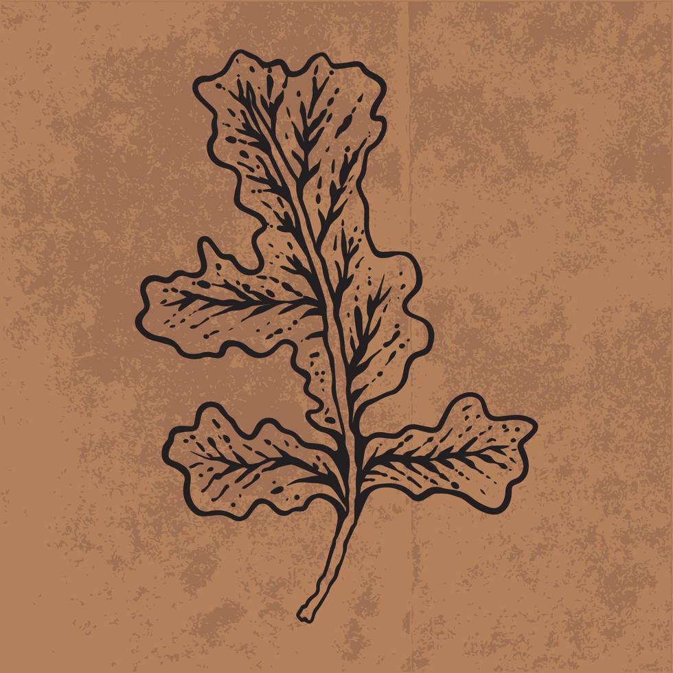 feuille botanique doodle dessin au trait de fleurs sauvages. illustration vectorielle dessinés à la main. contour floral vintage. adapté au papier peint, à l'affiche, à l'autocollant, au contenu des médias sociaux vecteur