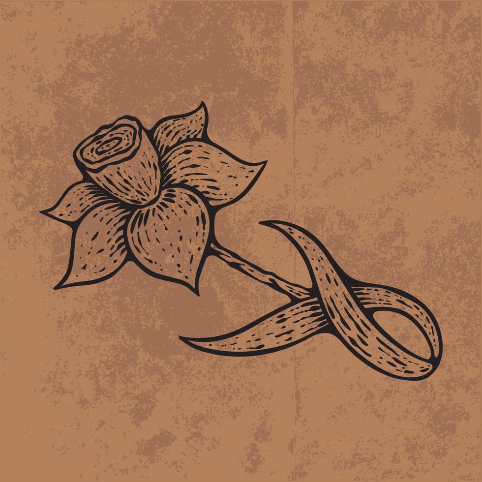 feuille botanique doodle dessin au trait de fleurs sauvages. illustration vectorielle dessinés à la main. contour floral vintage. adapté au papier peint, à l'affiche, à l'autocollant, au contenu des médias sociaux vecteur