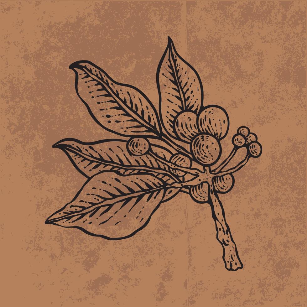 feuille botanique doodle dessin au trait de fleurs sauvages. illustration vectorielle dessinés à la main. contour floral vintage. adapté au papier peint, à l'affiche, à l'autocollant, au contenu des médias sociaux vecteur