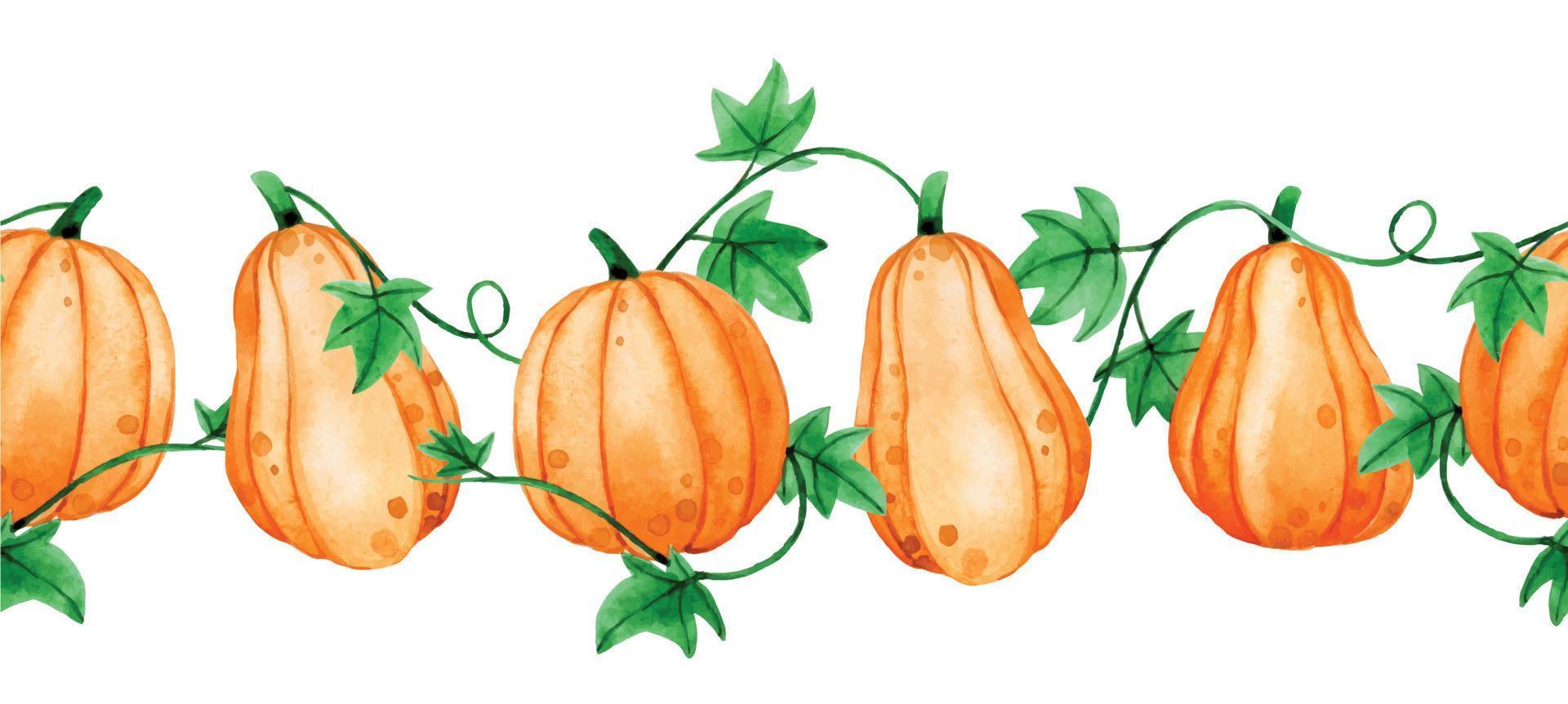 bordure horizontale transparente aquarelle, cadre. citrouilles orange mignonnes, thème d'halloween, jour de thanksgiving, récolte d'automne. vecteur