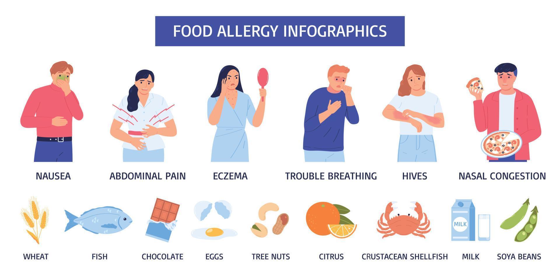 infographie sur les allergies alimentaires vecteur
