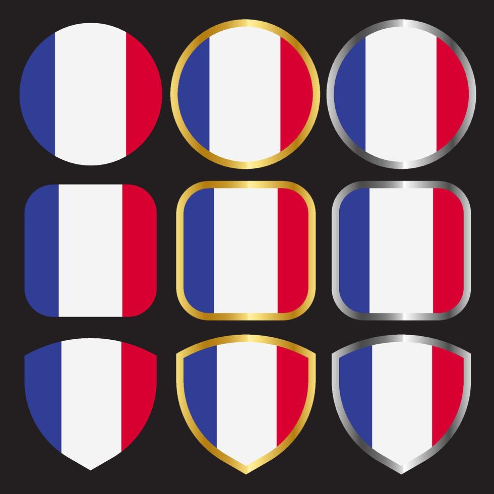 icône de vecteur de drapeau sertie de bordure or et argent