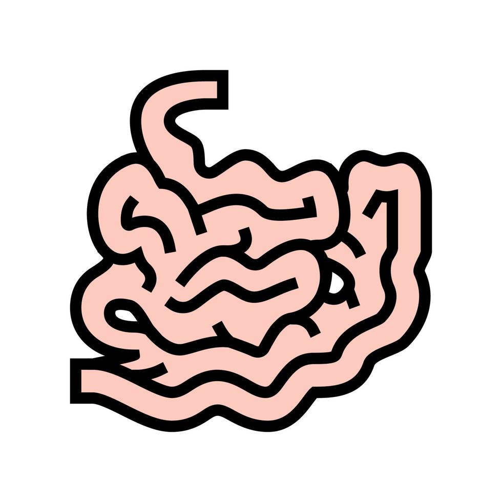 illustration vectorielle de l'icône de couleur d'organe humain de l'intestin vecteur