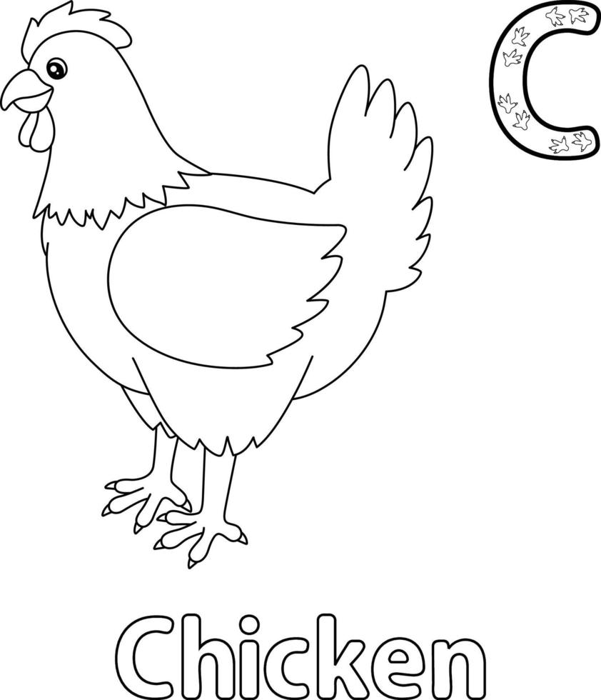 alphabet poulet abc coloriage c vecteur