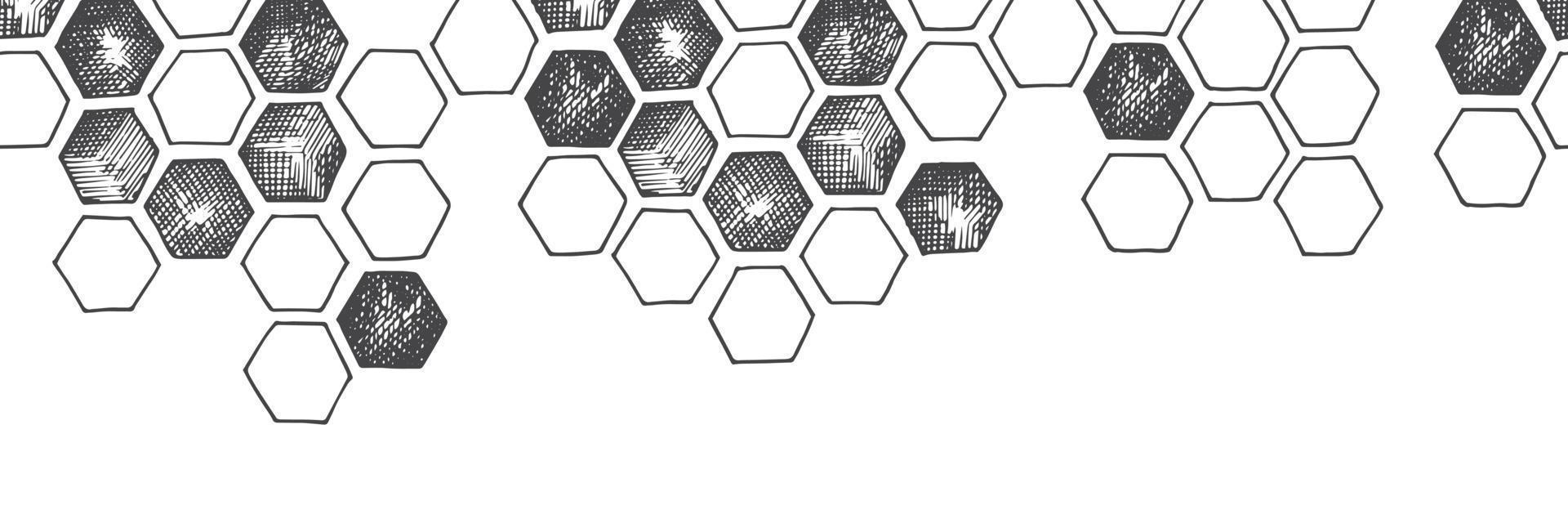 bordure transparente de vecteur, motif, bannière avec des nids d'abeilles. graphiques d'impression vintage vecteur