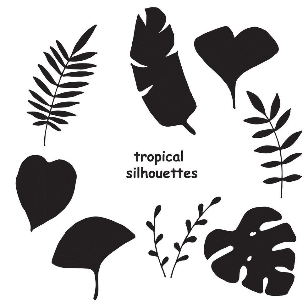 illustration vectorielle. ensemble tropical, silhouettes de feuilles et de branches. contours de feuilles de palmier, monstera de ginkgo. icônes simples vecteur