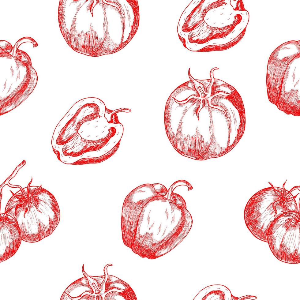 modèle sans couture de paprika doux, poivron, tomate rouge, mis en évidence sur un fond blanc. illustration vectorielle de légumes. recettes pour cuisiner avec des légumes frais vecteur