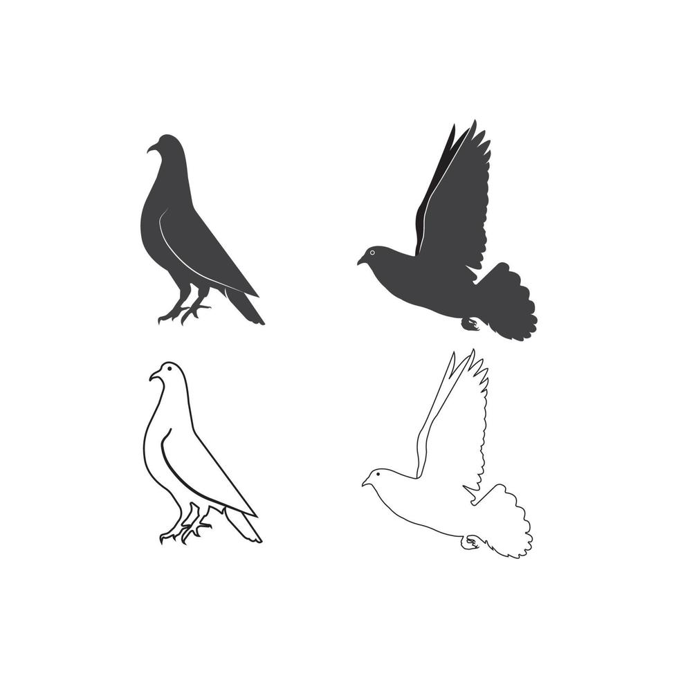 conception de modèle d'illustration vectorielle icône pigeon vecteur