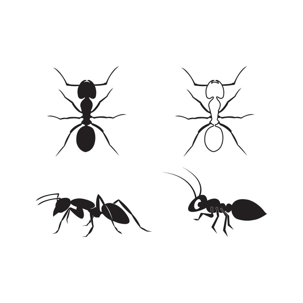 icône de fourmi. conception de modèle d'illustration vectorielle. vecteur