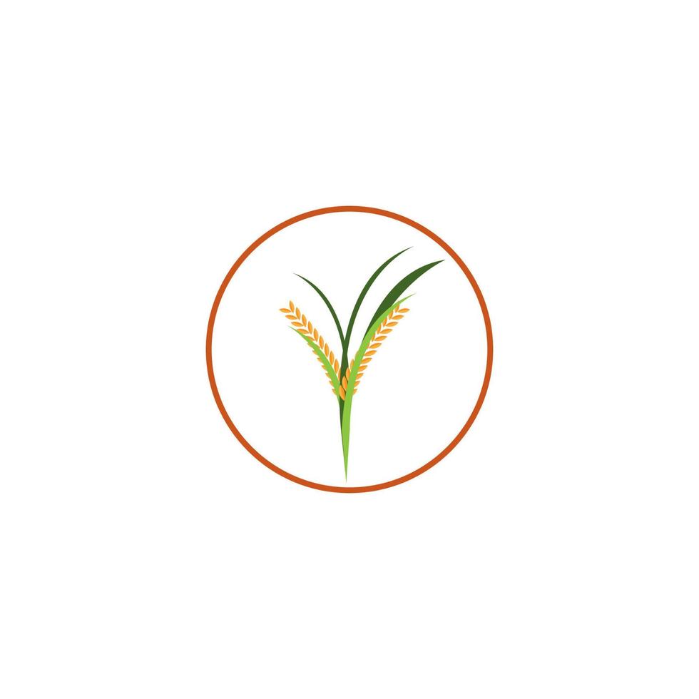 icône de rizière. conception de modèle d'illustration vectorielle. vecteur
