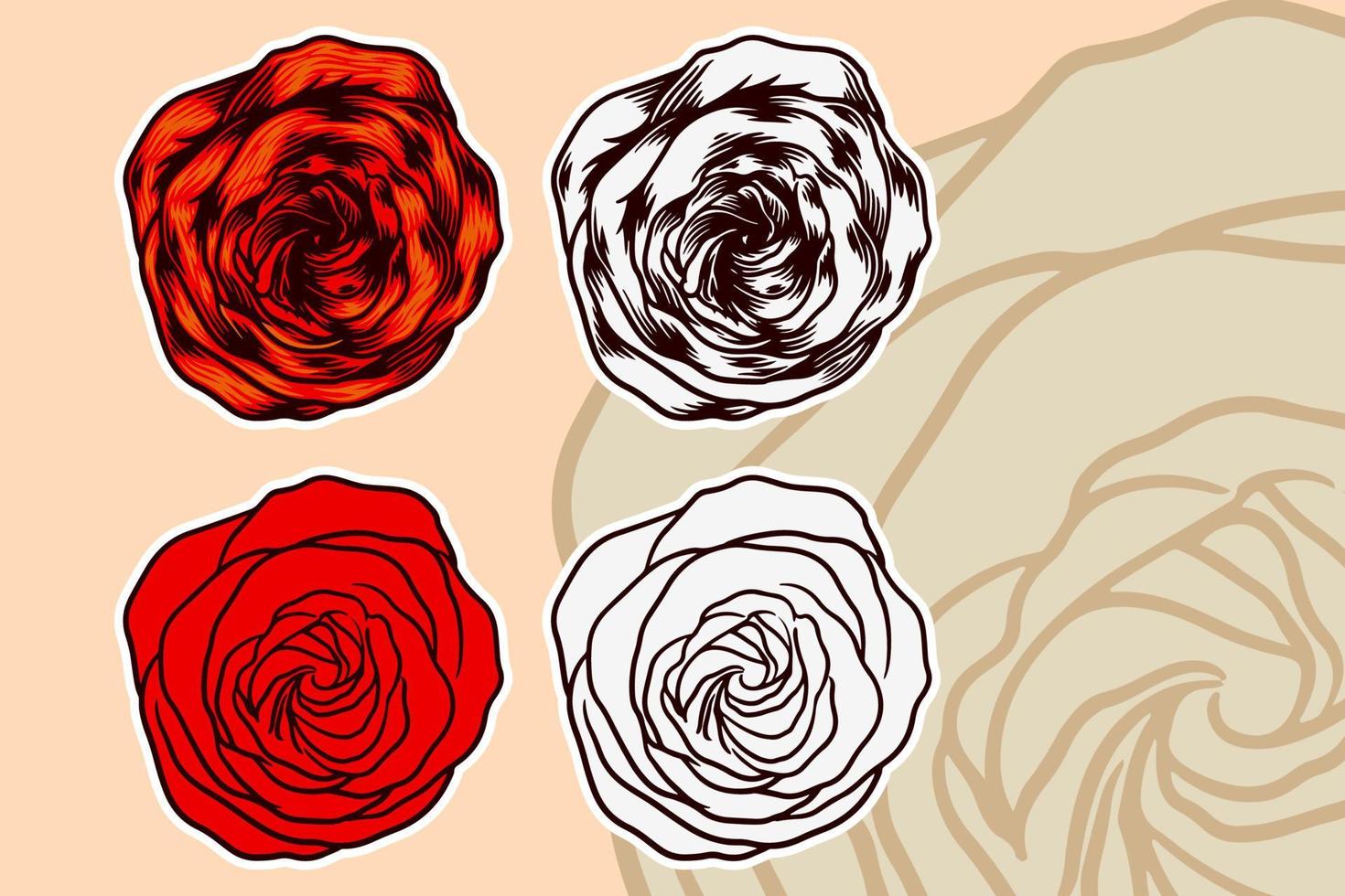 ensemble d'illustration vectorielle fleur rose vecteur