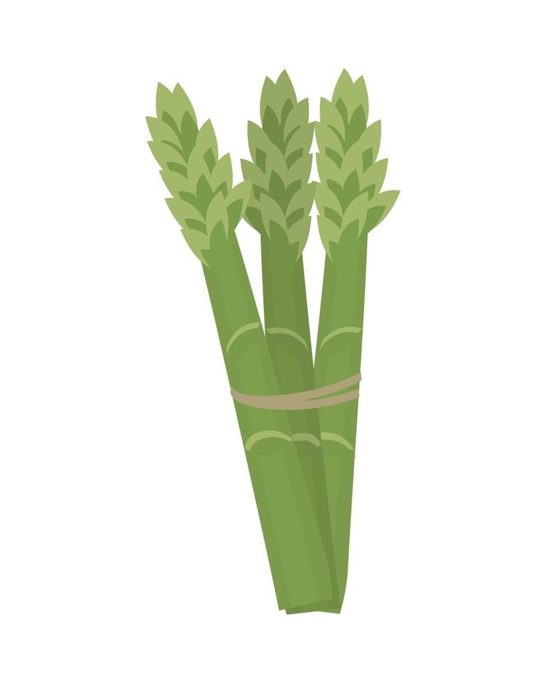 icône de légumes asperges vecteur