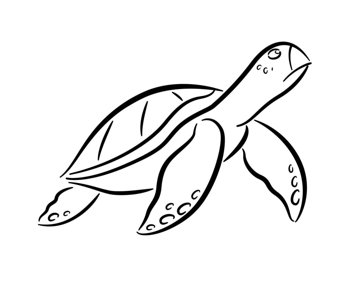 tortue de mer dessinant des lignes noires sur fond blanc. vecteur