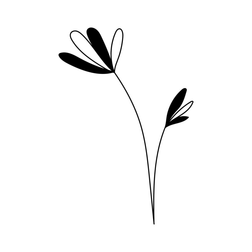 illustration d'une fleur, silhouette d'une brindille avec des fleurs et des feuilles. illustration vectorielle. imprimé floral vecteur