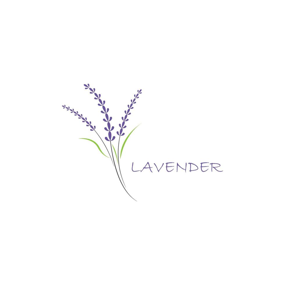 vecteur de logo fleur de lavande fraîche