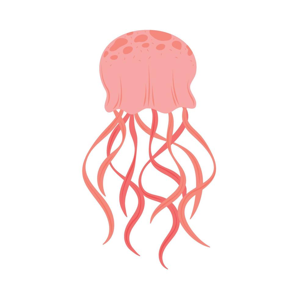méduse vie marine vecteur
