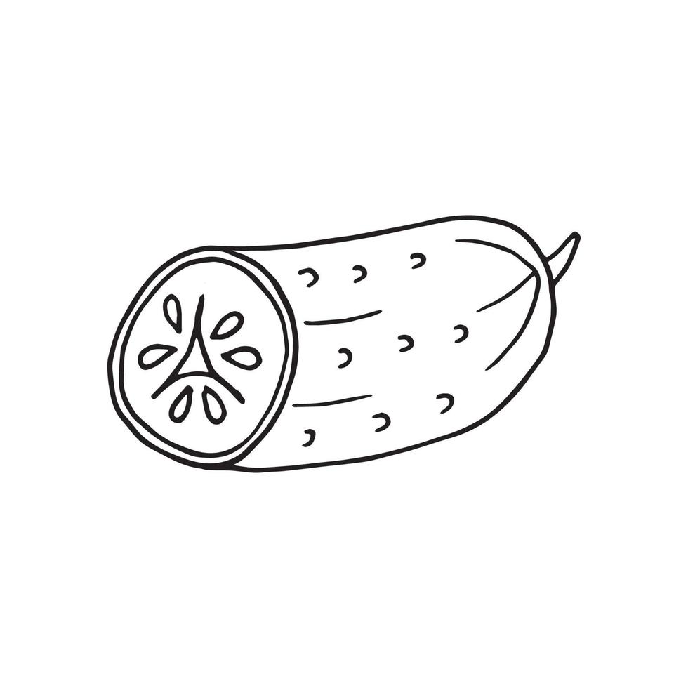 concombre dans un style doodle vecteur