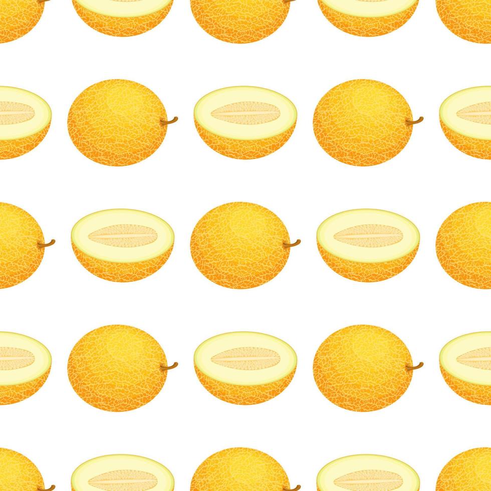 modèle sans couture avec des fruits frais entiers et demi-melon sur fond blanc. melon miel. fruits d'été pour un mode de vie sain. fruits bio. illustration vectorielle pour toute conception. vecteur