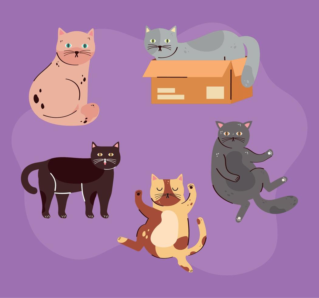 cinq animaux de compagnie de chats mignons vecteur