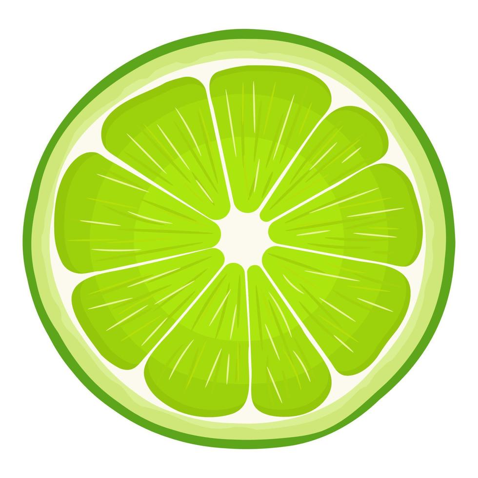 fruit de citron vert entier exotique lumineux frais isolé sur fond blanc. fruits d'été pour un mode de vie sain. fruits bio. style bande dessinée. illustration vectorielle pour toute conception. vecteur