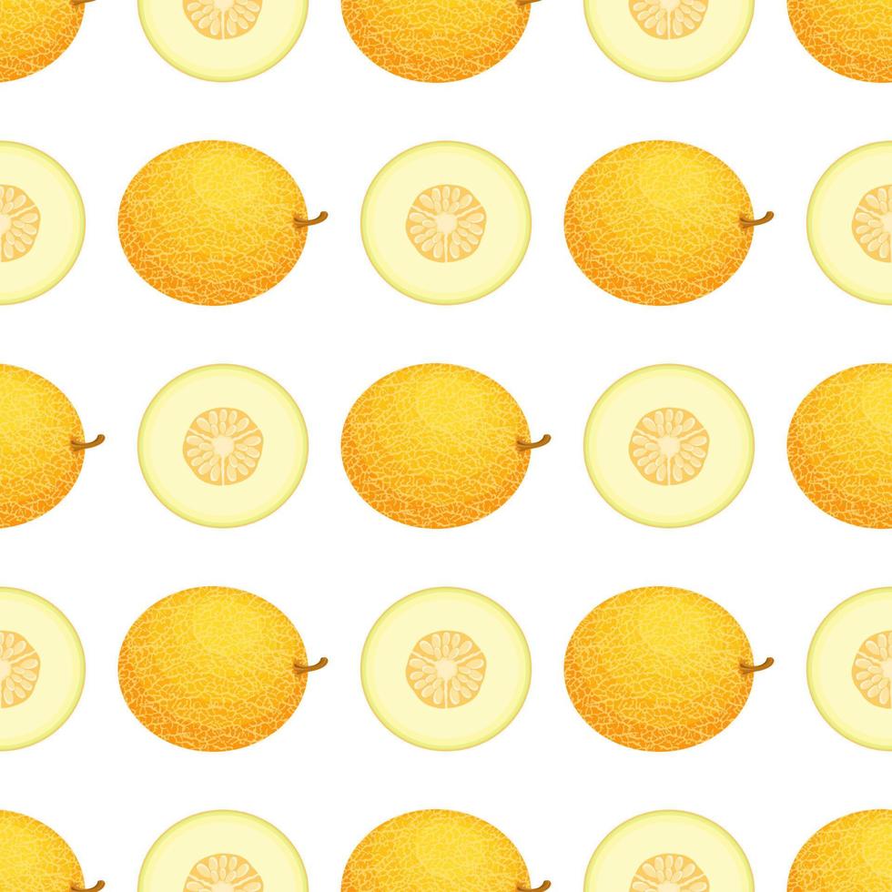 modèle sans couture avec des fruits frais entiers et demi-melon sur fond blanc. melon miel. fruits d'été pour un mode de vie sain. fruits bio. illustration vectorielle pour toute conception. vecteur