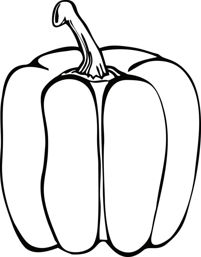 vecteur poivron doux dans le style de croquis. dessin de ferme frais de nourriture écologique saine