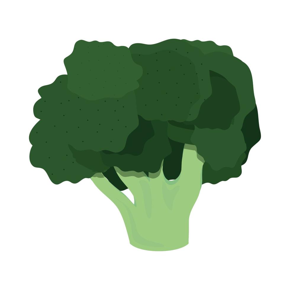 icône de légumes brocoli vecteur