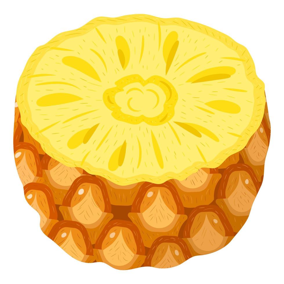 fruit frais à moitié ananas isolé sur fond blanc. fruits d'été pour un mode de vie sain. fruits bio. style bande dessinée. illustration vectorielle pour toute conception. vecteur