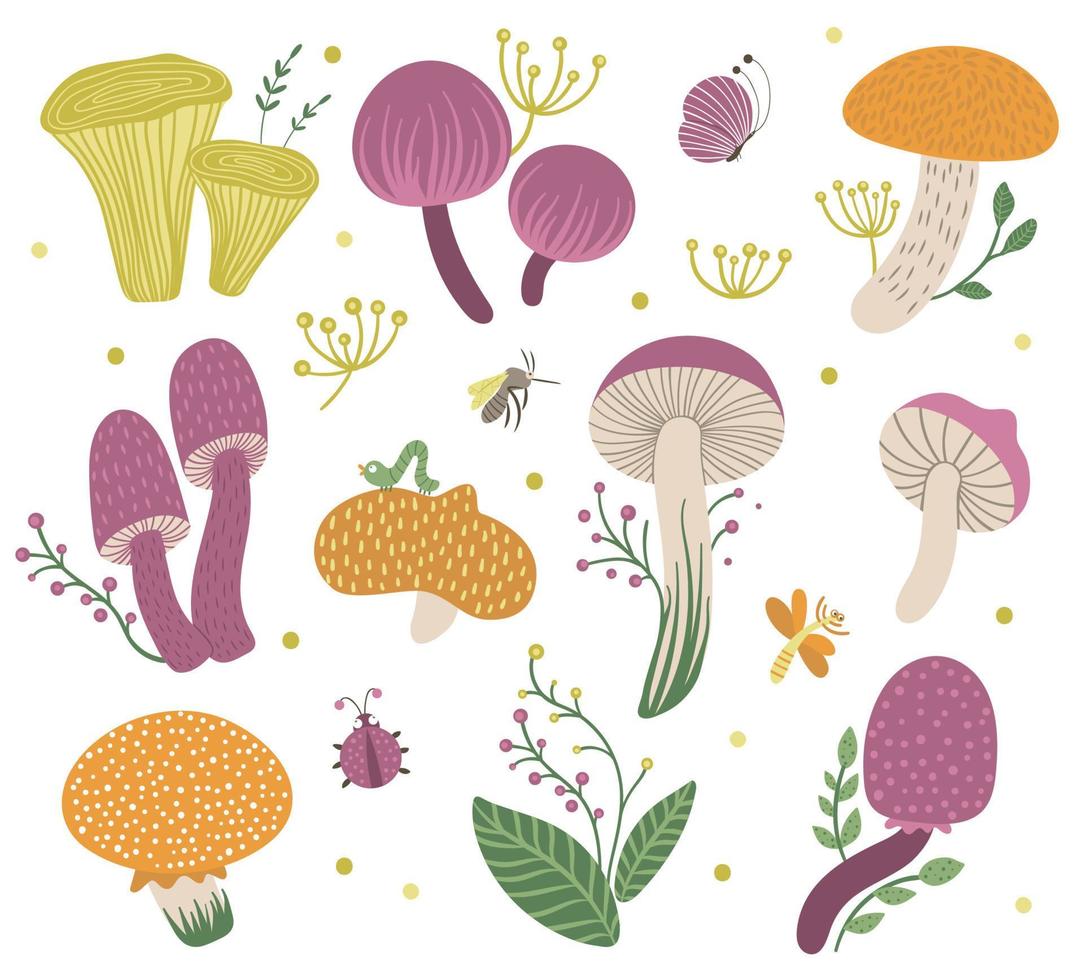 ensemble d'images vectorielles de champignons plats drôles avec des baies, des feuilles et des insectes. clipart d'automne pour la conception des enfants. illustration de champignons mignons vecteur