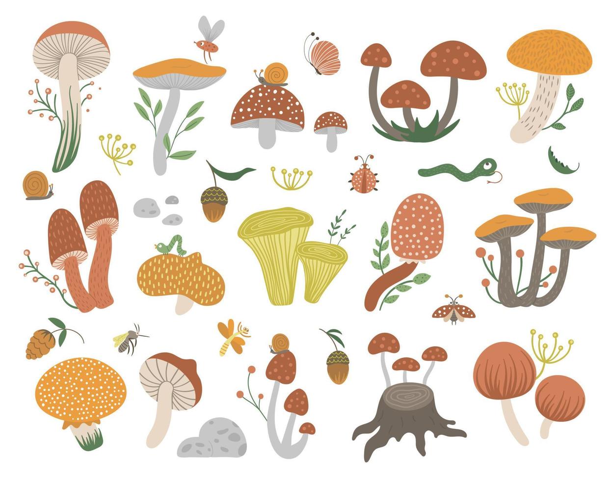 ensemble d'images vectorielles de champignons plats drôles avec des baies, des feuilles et des insectes. clipart d'automne pour la conception des enfants. illustration mignonne de champignons avec des glands et des cônes vecteur