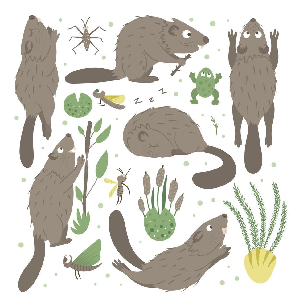 ensemble d'images vectorielles de castor plat drôle de style dessin animé dans différentes poses avec grenouille, roseaux, clipart d'insectes aquatiques. jolie illustration d'animaux des bois pour la conception d'enfants. vecteur