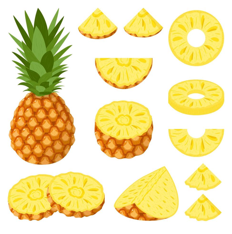 ensemble de fruits d'ananas frais entiers, demi, coupés en tranches isolés sur fond blanc. fruits d'été pour un mode de vie sain. fruits bio. style bande dessinée. illustration vectorielle pour toute conception. vecteur