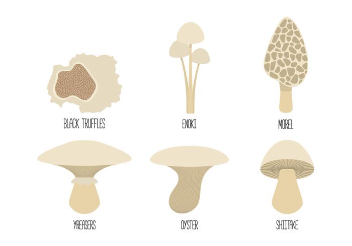 Vecteurs de famille de champignons vecteur