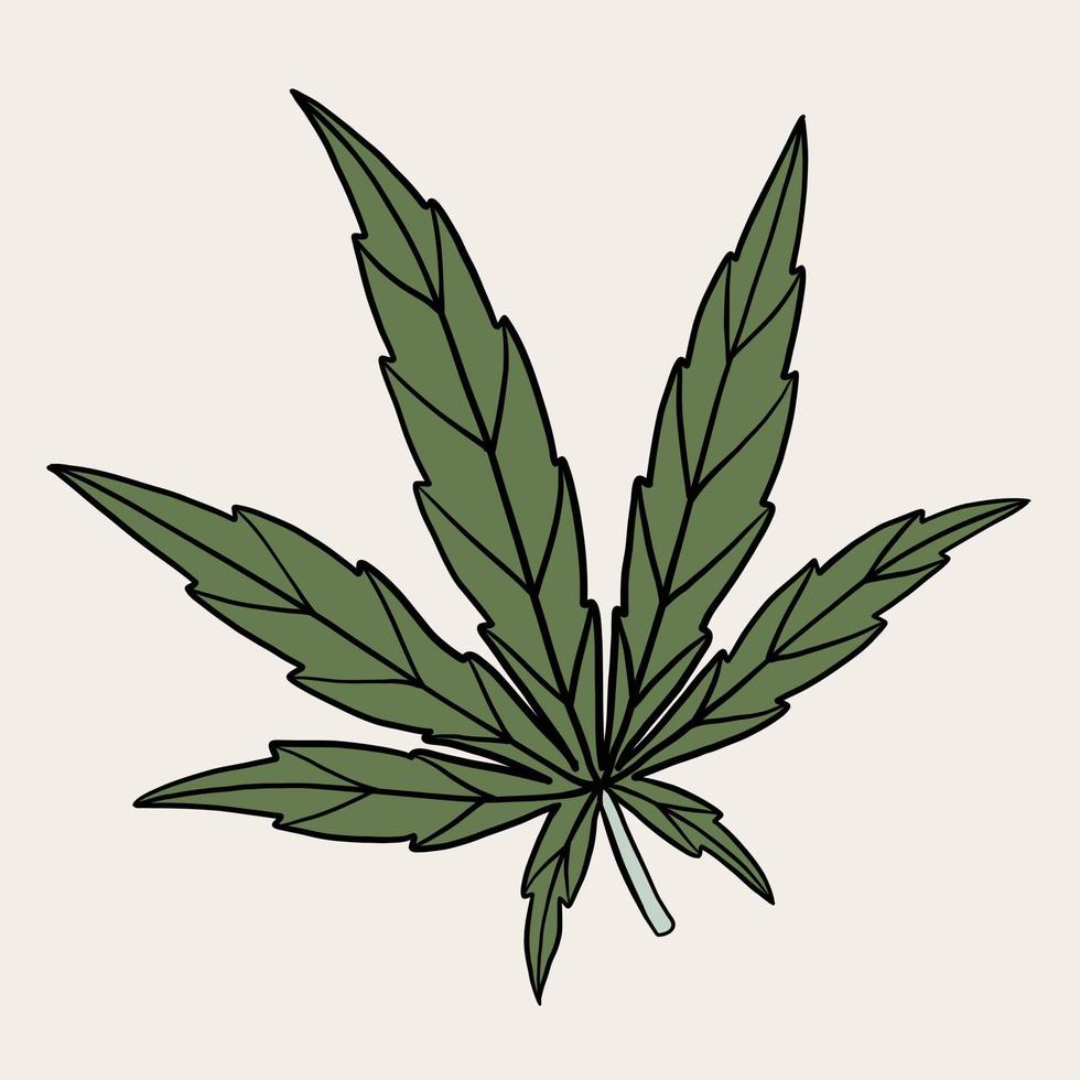 dessin à main levée de feuille de cannabis de simplicité. vecteur