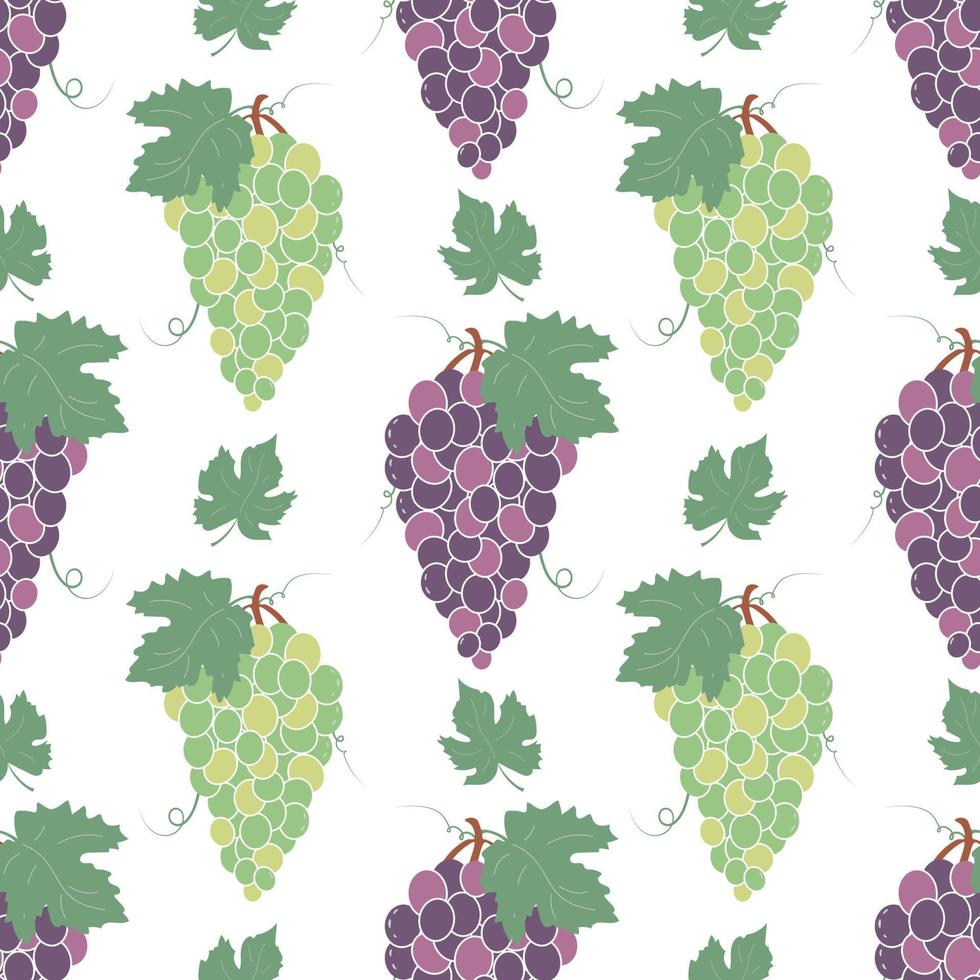 modèle sans couture avec des grappes de raisins et de feuilles. motif de fruits. vecteur