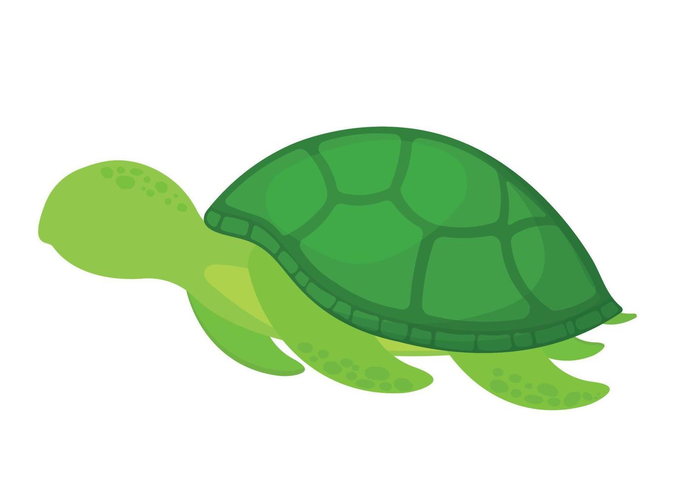 dessin animé tortue sans visage icône clipart vecteur pour collection d'animaux marins image animée