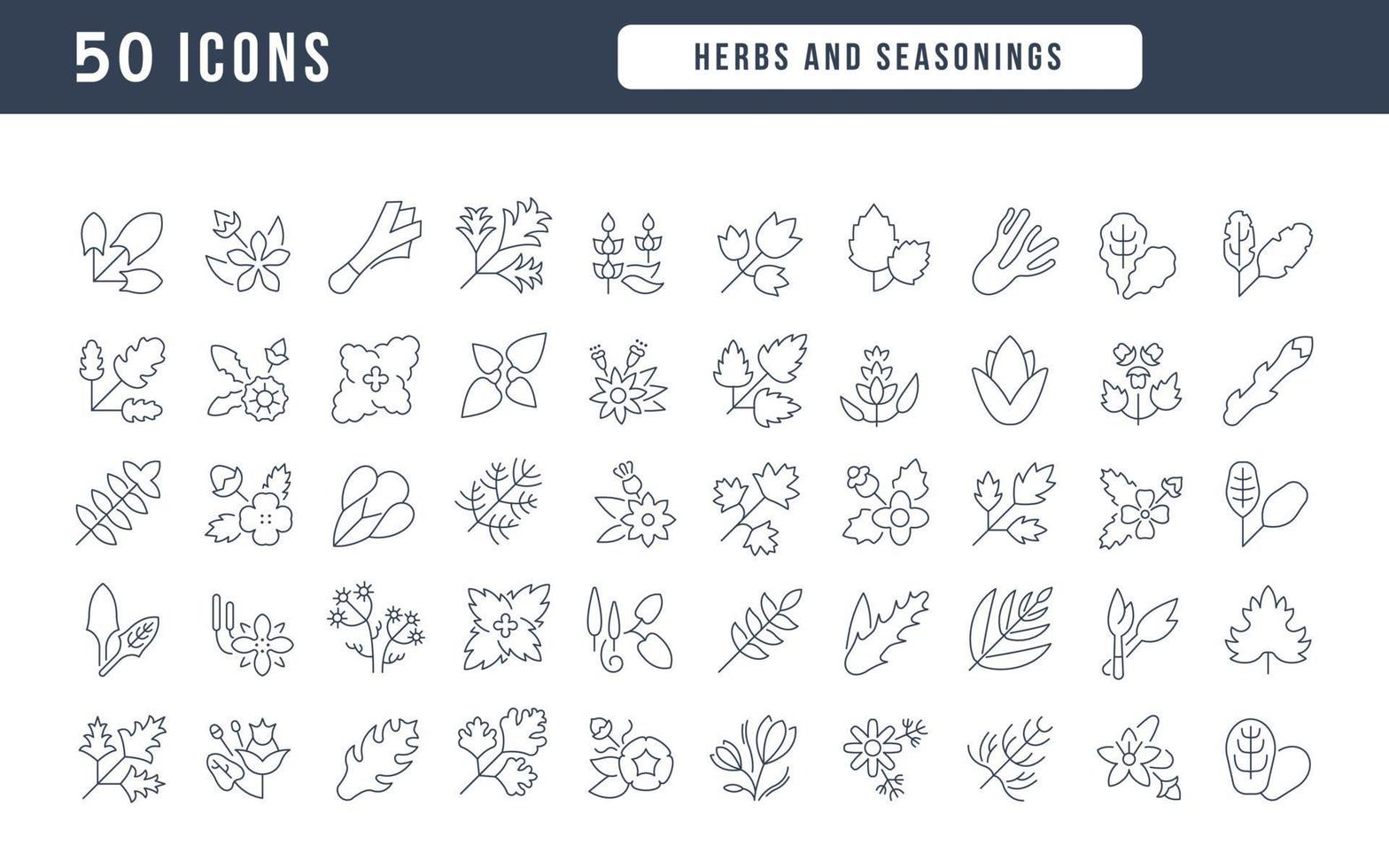 ensemble d'icônes linéaires d'herbes et d'assaisonnements vecteur