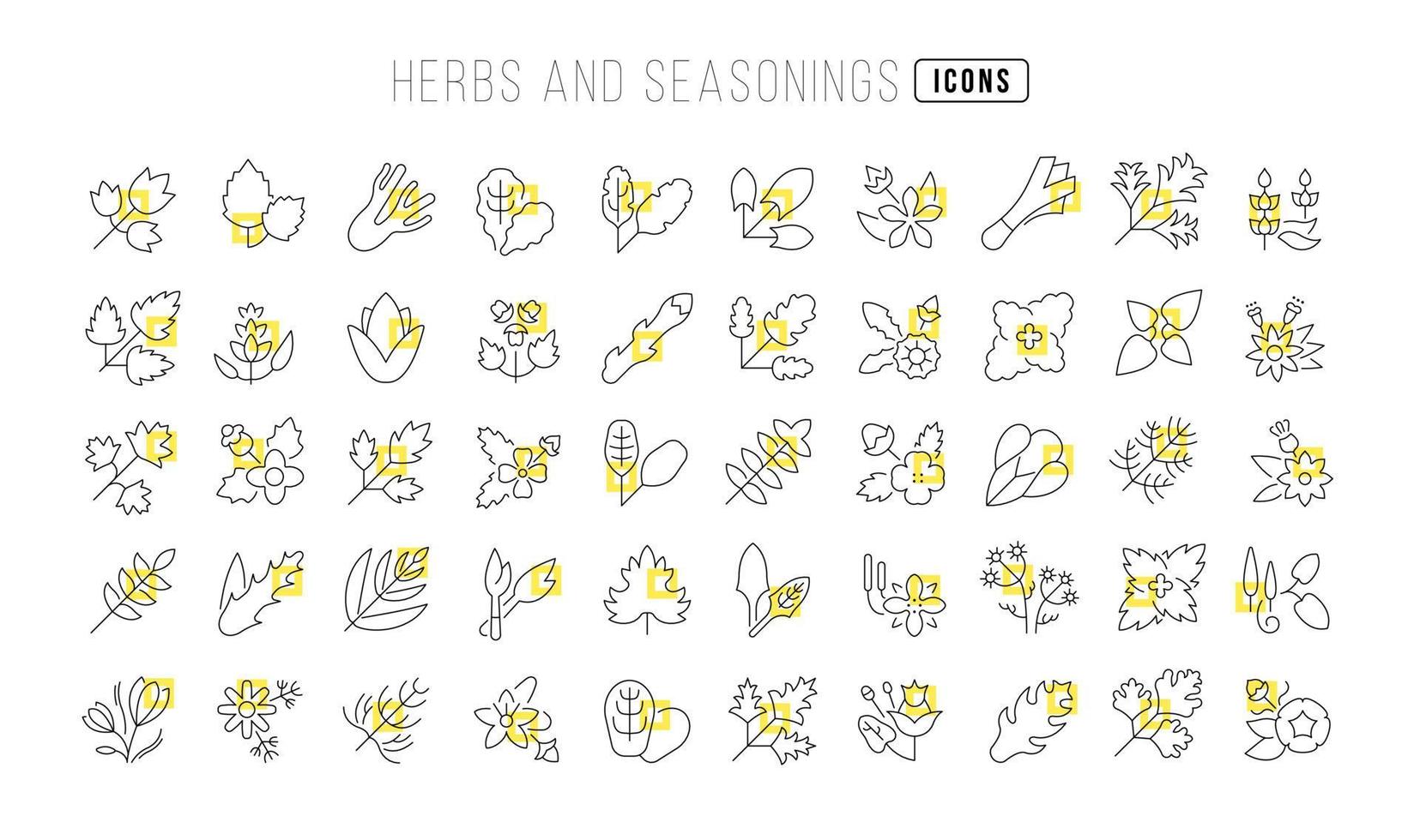 ensemble d'icônes linéaires d'herbes et d'assaisonnements vecteur