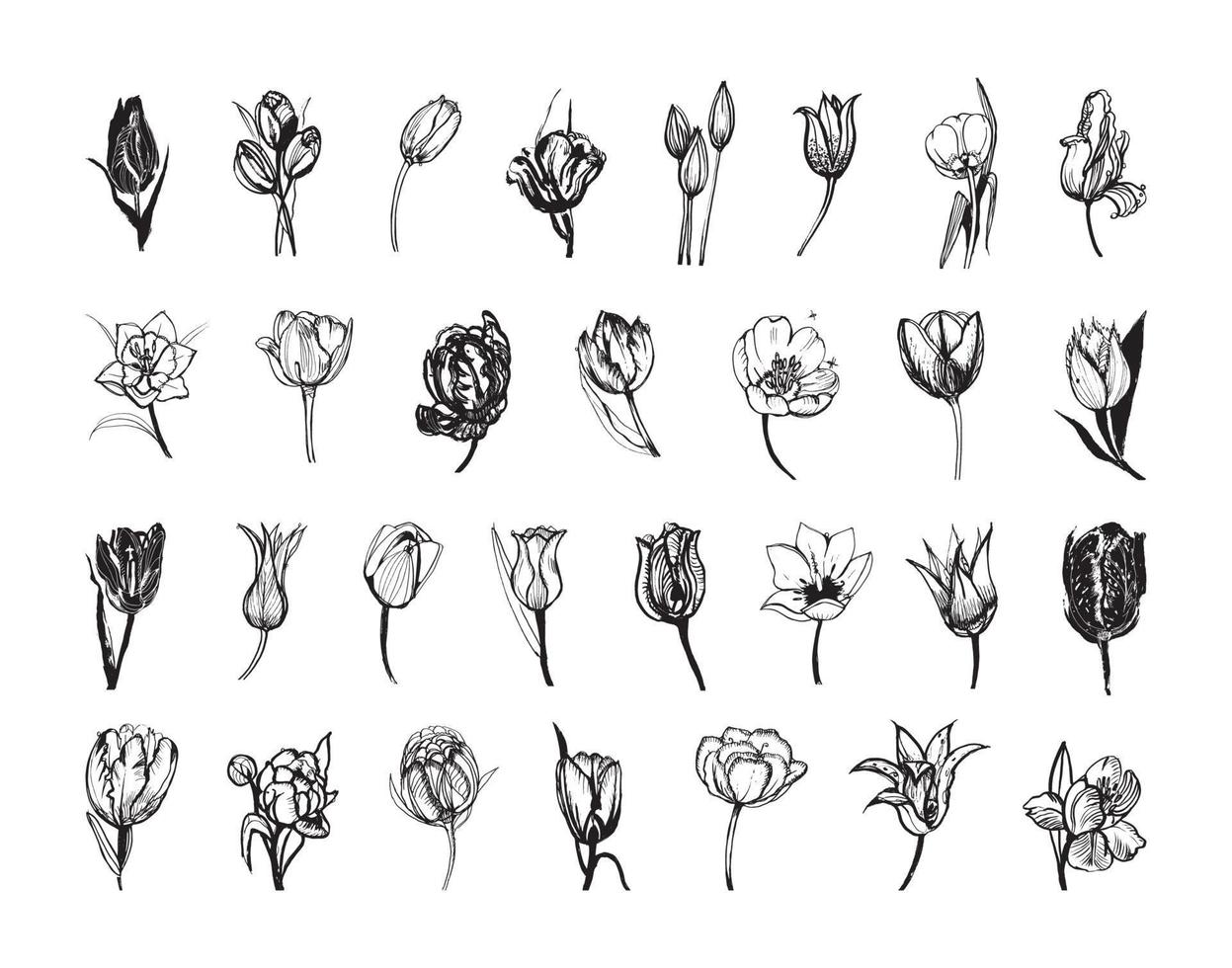 illustrations de tulipes à l'encre d'art vecteur