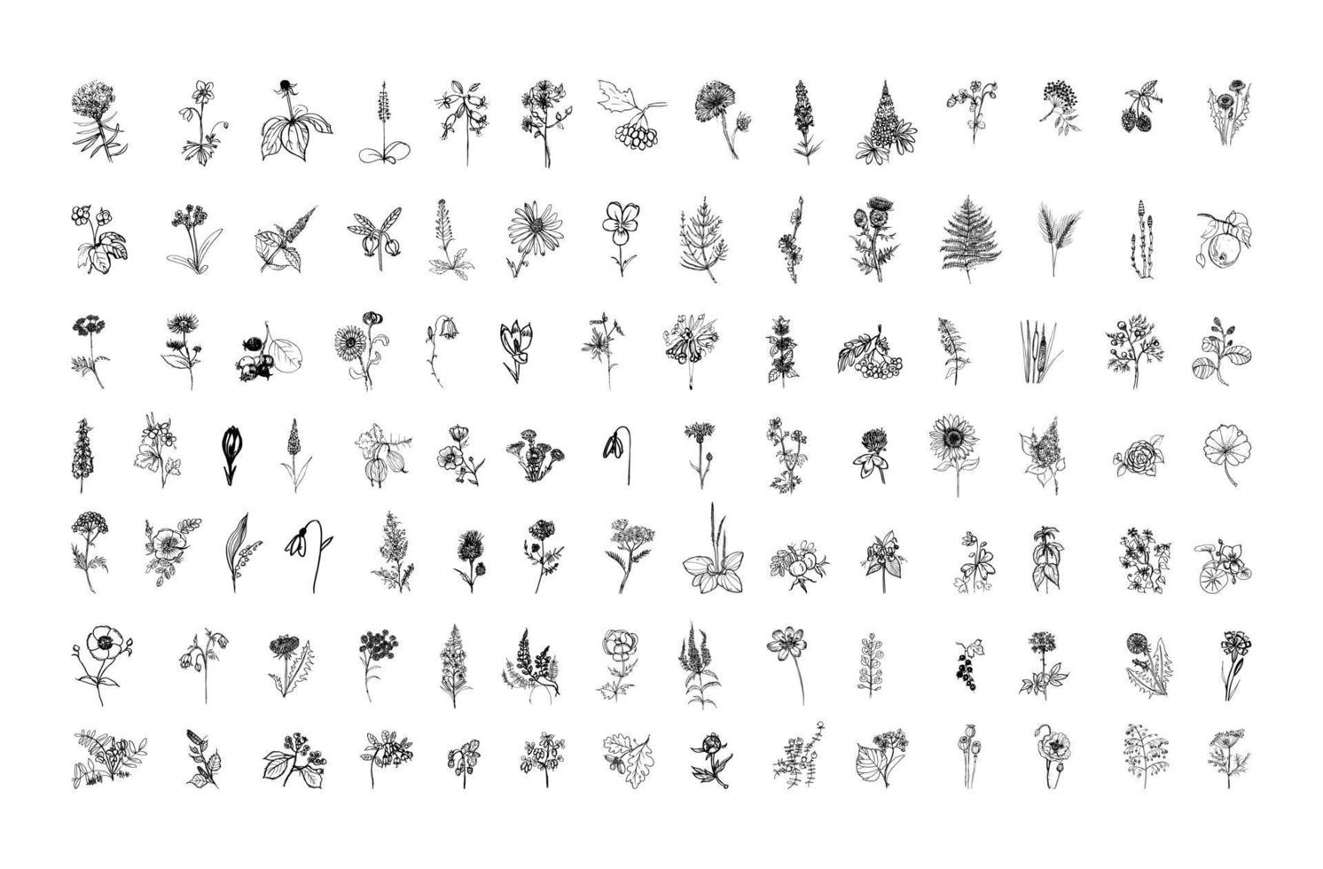 illustrations de plantes dans un style d'encre d'art vecteur