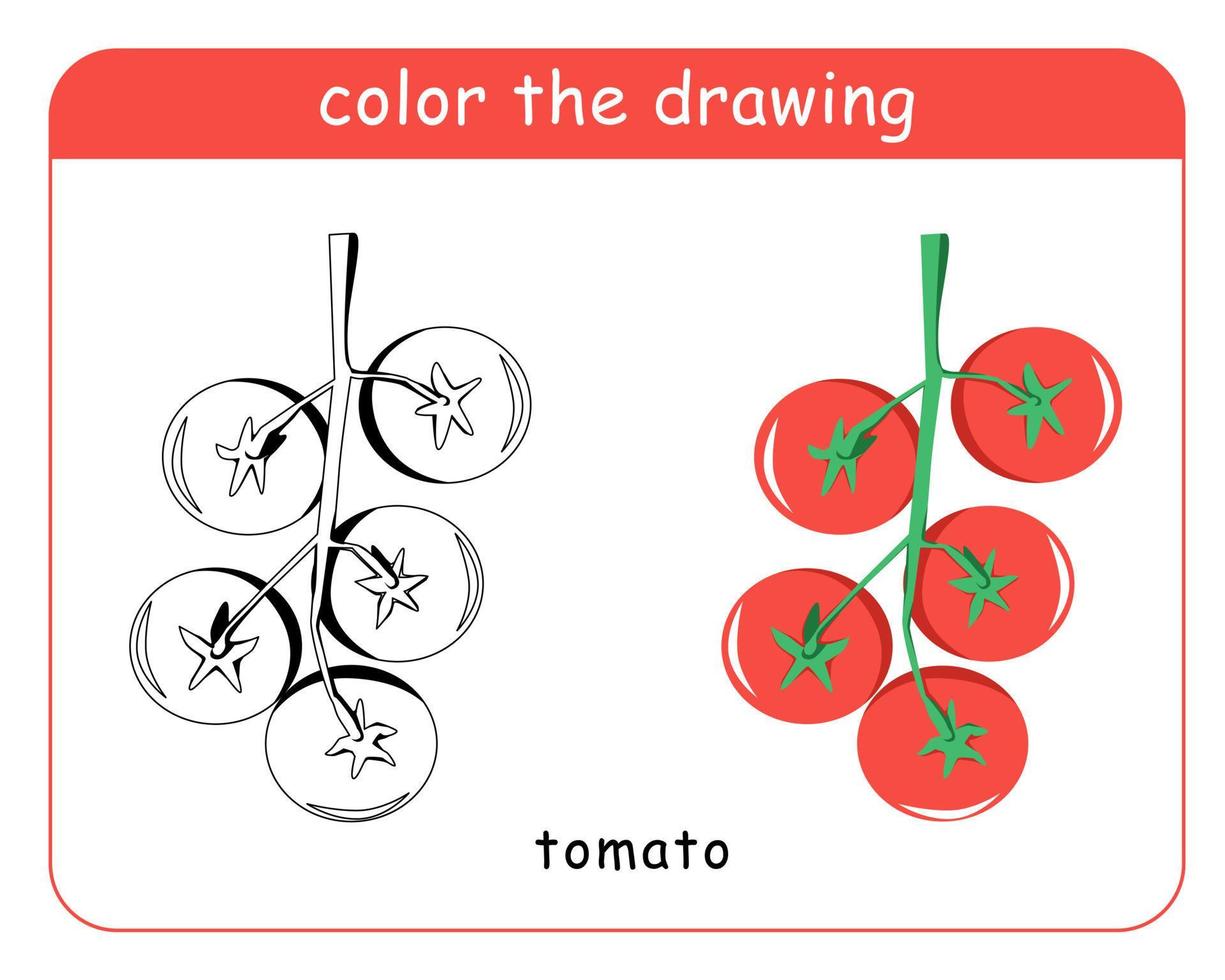 livre de coloriage pour enfants. tomates cerises sur une branche en couleur et en noir et blanc. vecteur