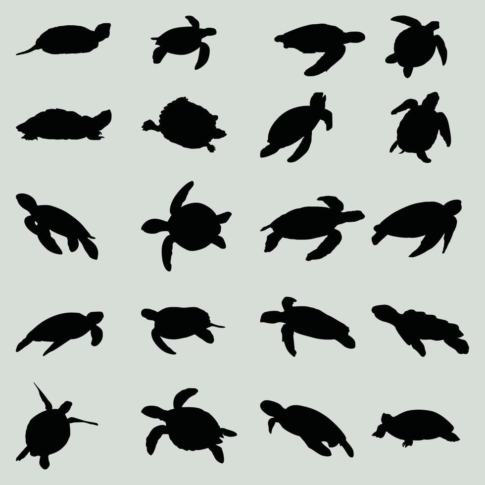 tortue de la faune animale en illustration vectorielle vecteur
