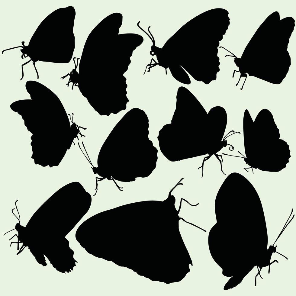 papillon, amour, silhouettes, ensemble vecteur