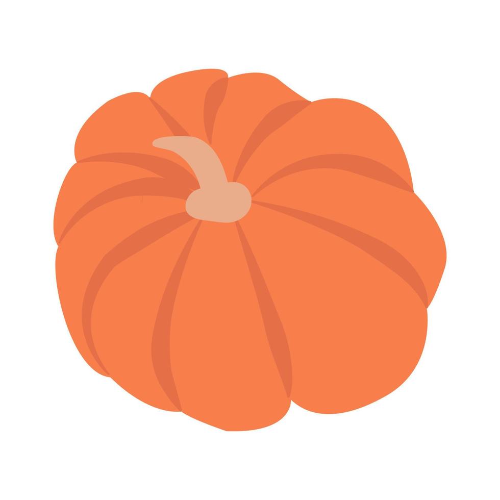 illustration vectorielle d'une citrouille orange. citrouille d'automne pour halloween, icône graphique végétale ou impression mise en évidence sur fond blanc vecteur