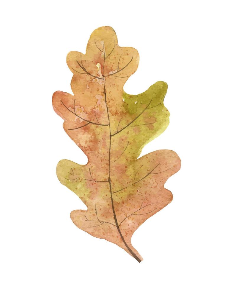 feuille de chêne d'automne vecteur