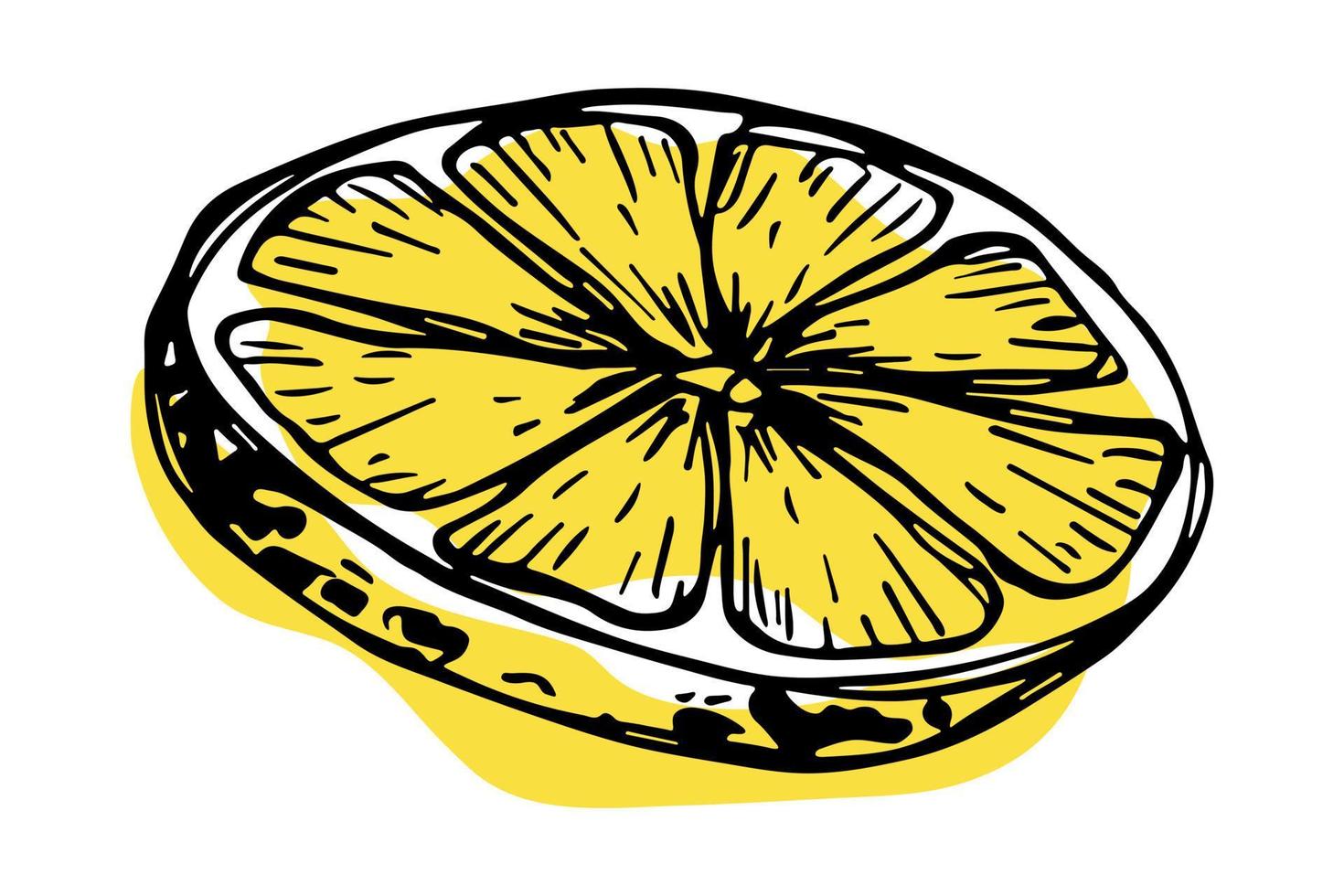 vecteur citron clipart. icône d'agrumes dessinés à la main. illustration de fruits. pour l'impression, le web, le design, la décoration